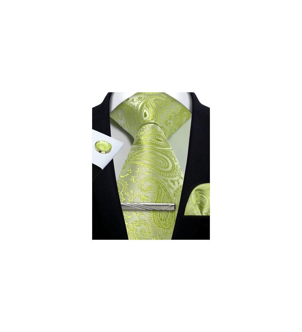 7637 Paisley Light Green Tie Formal Necktie Pocket Squares Ties Clips
